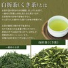 Yame Tea Stem Tea Premium White Folding 100g Bagged Tea