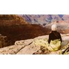 SOL Escape Bivvy with Hood - Emergency Preparedness Blanket -