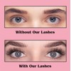 Qsrsjcq Dalarey Magnetic Lashes with Applicator Magnetic Eyelashes Natural Look