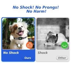 No Shock Dog Training Collar with Remote 2600Ft, Ultra-Small Training Collar with Beep and Vibration Only, Safe Training for Small Dogs 5-15lbs & Medium Dogs, Waterproof- No Prongs