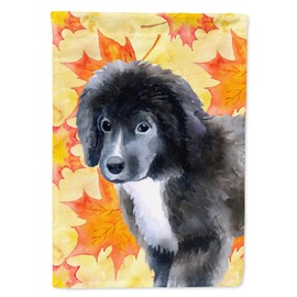 Caroline's Treasures BB9960CHF Newfoundland Puppy Fall Flag Canvas House Size, Large, Multicolor