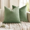 MIULEE Set of 2 Velvet Soft Solid Decorative Square Throw