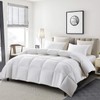 Serta Serta Goose Feather Down Fiber Cotton Comforter Queen Size
