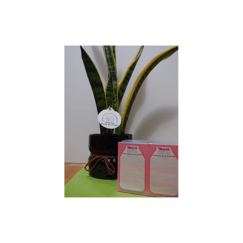 A Bonne X2 Boxes Yogurt Cream Soap Nano White Q10