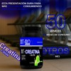 Suplemento Creatina Glutamina Nit-pro 1kg En Polvo Sabores