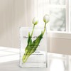 Aoderun Book Vase for Flowers Clear Glass Vase for Book