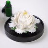 Passive Diffuser Ceramic Flower Aromatherapy – Exquisite Handcrafted Ceramic Decorative