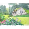 Kusakabe Transparent Watercolor Paint, 0.7 fl oz (20 ml), No.