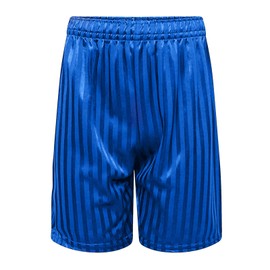 adam & eesa Back to School Unisex Boys Girls Shadow Stripe PE Summer Shorts - Drawstring Elastic Waist Football Cycling Sports Bottom Mens Womens Royal Blue
