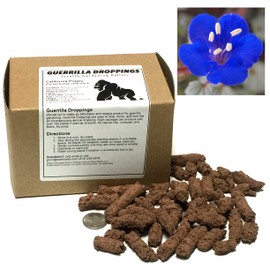 California Bluebell Guerrilla Droppings - Seed Pellets for Guerrilla Gardening (Phacelia campanularia)