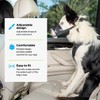 Premier Pet Dog Muzzle - Safely Reduces Biting & Barking
