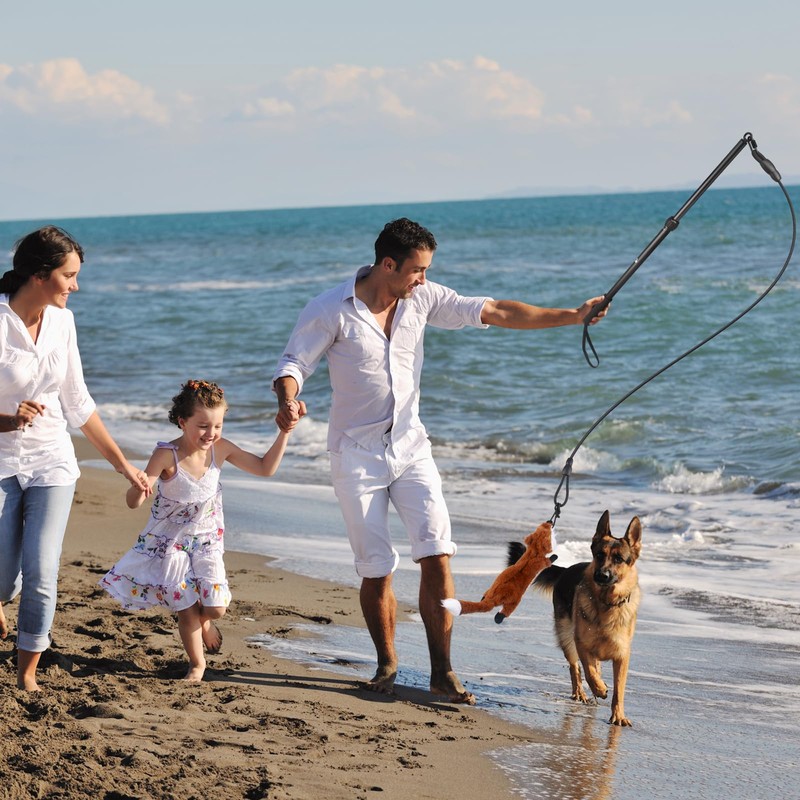 YILAKO Flirt Pole for Dogs - Heavy Duty Interactive Dog
