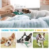 LEGEND SANDY - Juguetes chirriantes para perros pequeños y medianos,