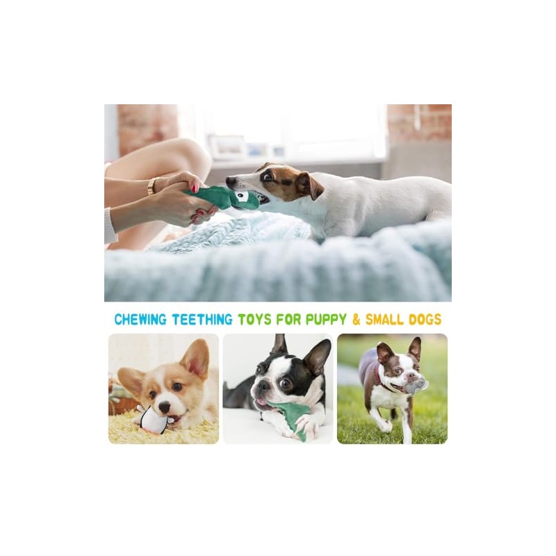 LEGEND SANDY - Juguetes chirriantes para perros pequeños y medianos,