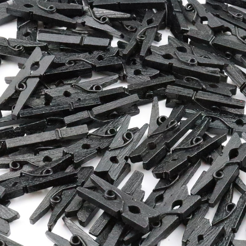 WOSHIGOU 100 PCS 1 Inch Wooden Black Clothespins, Mini Clothes
