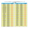 Street Mr Plus CA-3 Toyota Dealer Option Eclipse Navigation Rear