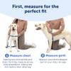PetSafe Easy Walk Arnés Antitirones para Perro Frambuesa/Gris Talla M