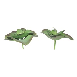 Ebros Gift Pack of 6 Realistic Lifelike Artificial Lilacina Paddle Desert Plant Succulents Green Botanica 8.5" Diameter Home Garden Verandah Office Table Centerpieces DIY Arrangements