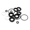 34262 Seal Kit for Cat Pump 66DX 6DX Pressure Washer
