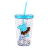 Cute Tumbler with Lid and Straw Double Wall Insulated Acrylic
