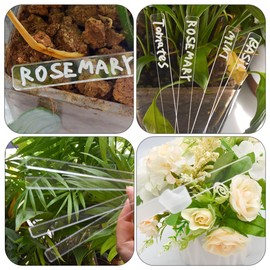 BESTOYARD 120Pcs Garden Tag Plant Markers Label Stakes Plastic Plants Pots Indoor Houseplants Acrylic Labels Plant Tag Acrylic Plant Accessories Labels