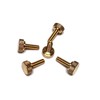 5 Pack of 1/4-20 Knurled Shoulder Flat Tip Brass Thumb