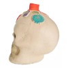 Emporio Bolletd Kit De 2 Portavelas Día De Muertos Cráneo