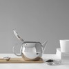 Stainless Steel Teapot with Lid, Drip-Free Spout, Modern Design, Loose