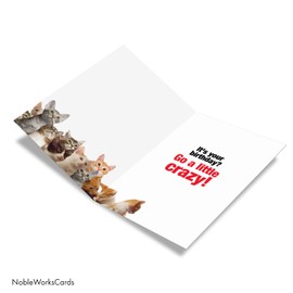 NobleWorks, Funny Happy Birthday Card with Envelope - Colorful Humor Note Card Greeting - Cat Lady Starter Kit 8016Z