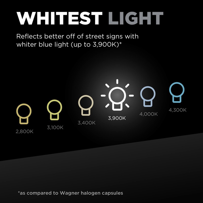 Wagner TruView PLUS BPH11TVX2 Multi-Purpose Light Bulb Card of 2