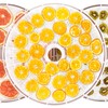 Lconvicely 10.8in Parchment Paper Round With Hole, Non-stick Fruit Dehydrator