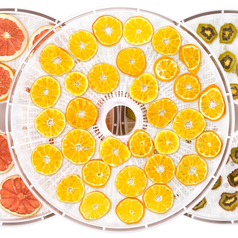 Lconvicely 10.8in Parchment Paper Round With Hole, Non-stick Fruit Dehydrator