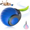 DAWRIS Katzenspielzeug, 2025 Neu Magic Ball Hund, Interaktives Hundespielzeug Ball,