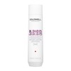 Goldwell Dualsenses Blondes & Highlights Anti-Yellow Shampoo 300ml