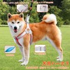 Pokmill Dog Harness 6.6 ft (2 m) Lead Set for