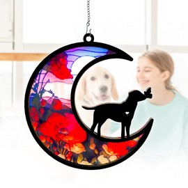 MIONAFI Loss of Dog Sympathy Gift - Stained Acrylic Window Hanging for Indoor Windows - Home Decor That Brings Comfort and Warmth