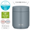 Thermos JED-300 GYG Vacuum Insulated Soup Jar, 10.1 fl oz