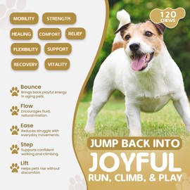Pawfalls HIP and Joint Chews – Dog Joint Supplement with Glucosamine, Chondroitin & MSM – Supports Cartilage, Hip & Joint Health – Soft Chews for Senior & Adult Dogs – 120 Chews, Natural Beef Flavor