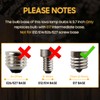 Seentech S11 E17 Middle Base 40 Watt 120V Incandescent Bulbs