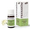Pranarom - essential oil - Chamomile noble - 5 Ml