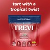 TREVI™ Sugar Free Electrolytes - Drink Mix Hydration Powder Packets