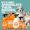 ANGRY ORANGE Citrus Multipurpose Cleaner Spray for Kitchen and Bathroom