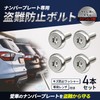 RENPA Stainless Steel Anti-Theft Bolt Set for License Plate Specific