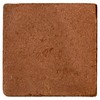 MagJo Naturals 100% Pure Coco Coir (Coco Peat) 11 Pound
