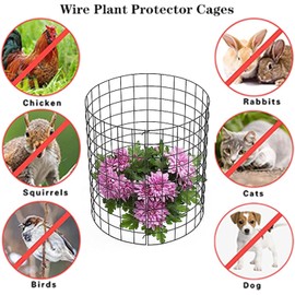 YYRZZ 10 Packs Wire Plant Protectors from Animals -16.8'' x13'' Metal Mesh Plan t Cage Covers Garden Small Plan t Protectors Animals Chicken Wires Cover for Protect Plants,Vegetables
