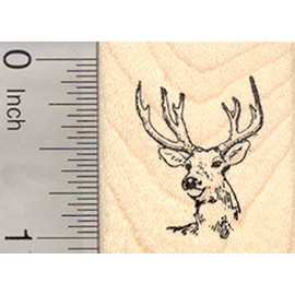 Buck Deer Wildlife Rubber Stamp, Small