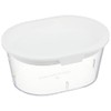 Greenfield Project Sprout Cultivation White Home Vegetable