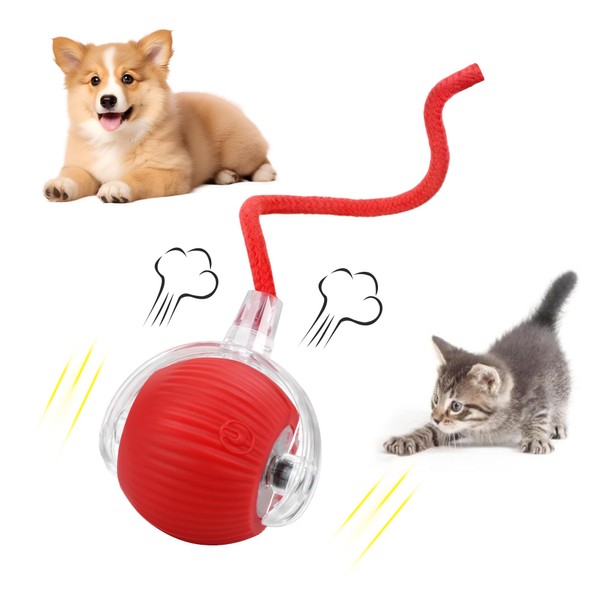 Enniew Cat Toys Interactive Cat Toy for Indoor Cats with