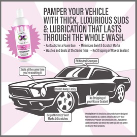 Garry Dean's Infinite The Perfect Soap Automotive Detailing Supplies PH Neutral Shampoo (16oz)