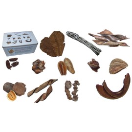 Generic 30 Sampler Botanicals for Aquariums: Indian Almond Leaves, Cholla Wood, Birch Cones, Pods, Curls, Banana Sticks for Freshwater Blackwater Tannins